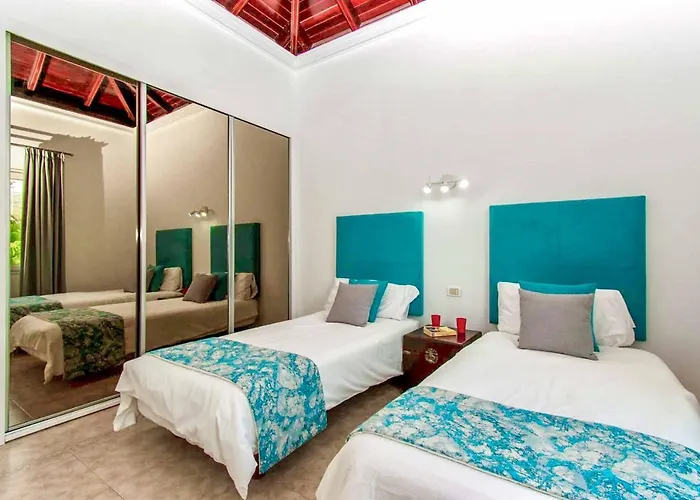 فيلة Pandora Chayofa